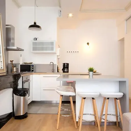 Magnifique 2 Pieces - Plein Centre - Tram 1 Min Apartment *