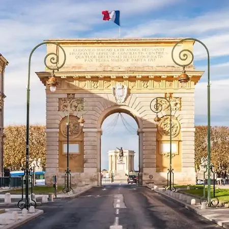 Magnifique 2 Pieces - Plein Centre - Tram 1 Min Apartment *
